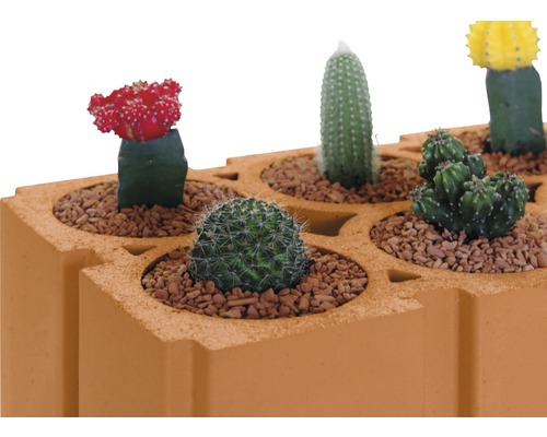 Pallet wijnbewaarstenen 36,5 cm x 25 cm x 24 cm Pallet = 60 stuks