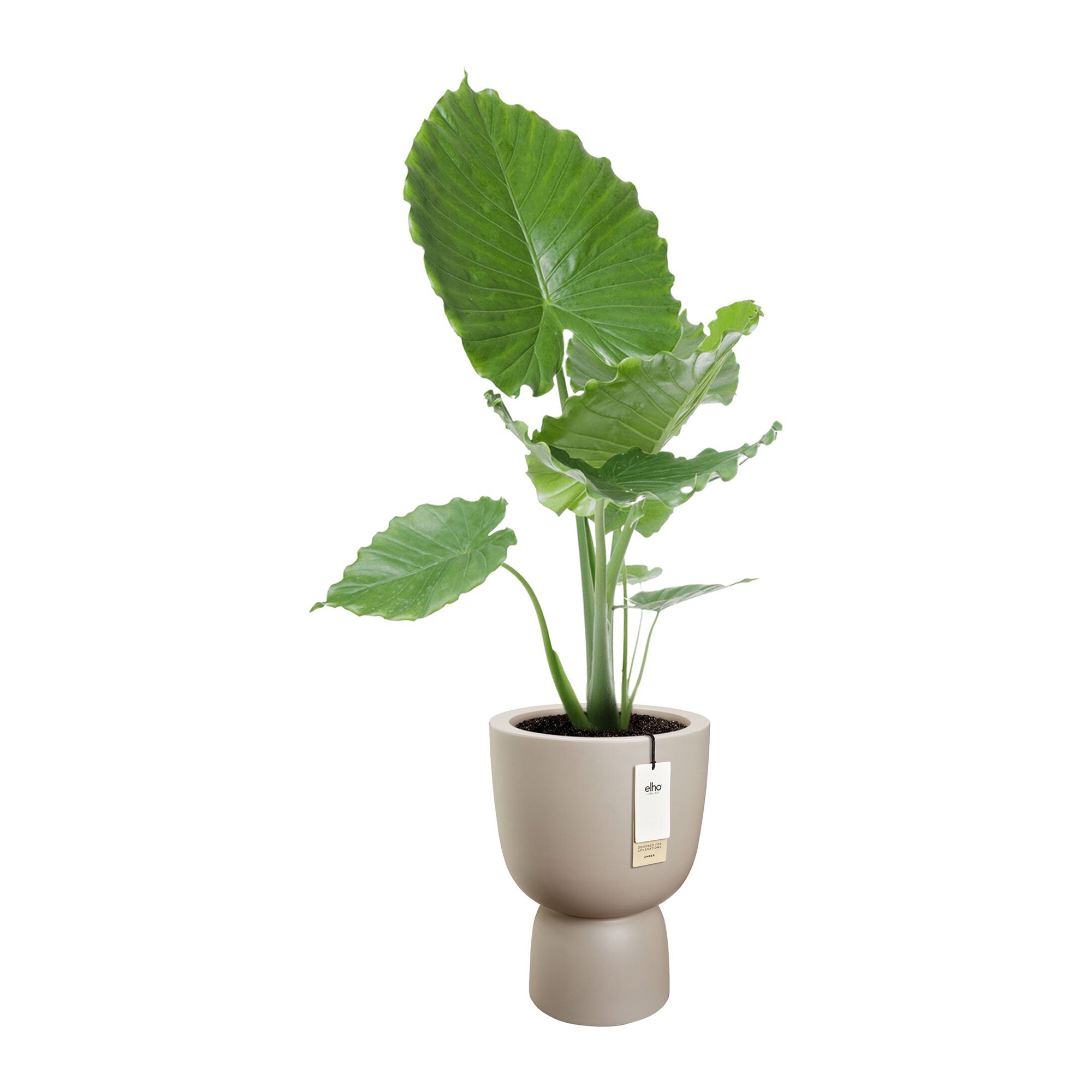 Elho Amber Coupe 35 - Balanced beige - L 35 x B x H 49 cm - Binnen en Buiten - 100% gerecycled kunststof