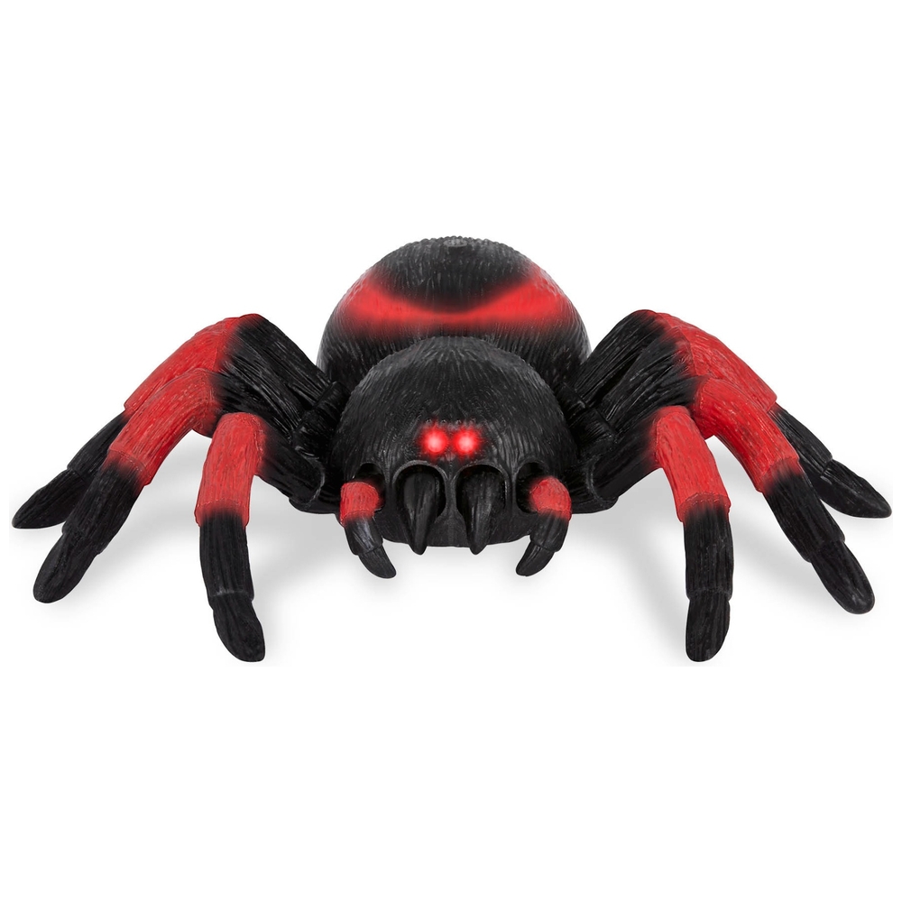 Terra ferngesteuerte Spinne Tarantel