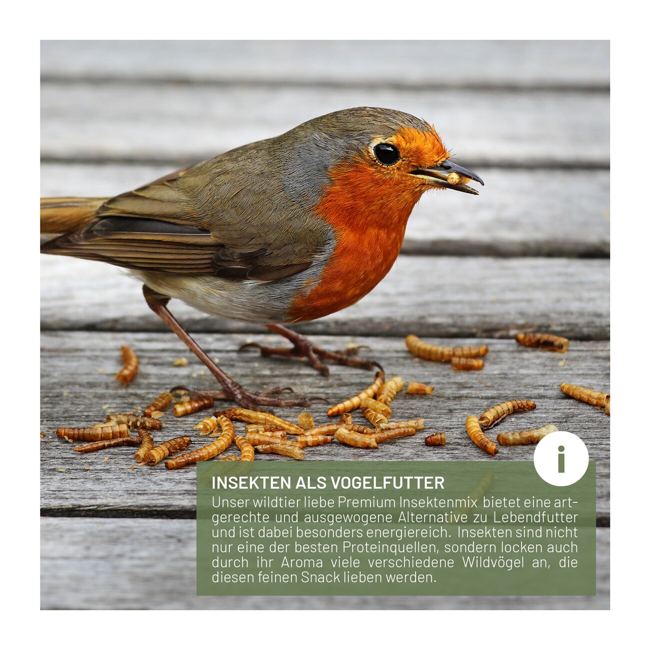 wildtier liebe Vogeltraum - Premium Insektenmix 500g