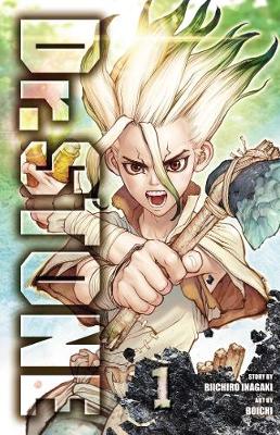 Dr. STONE, Vol. 1 - Dr. STONE 1 (Paperback)