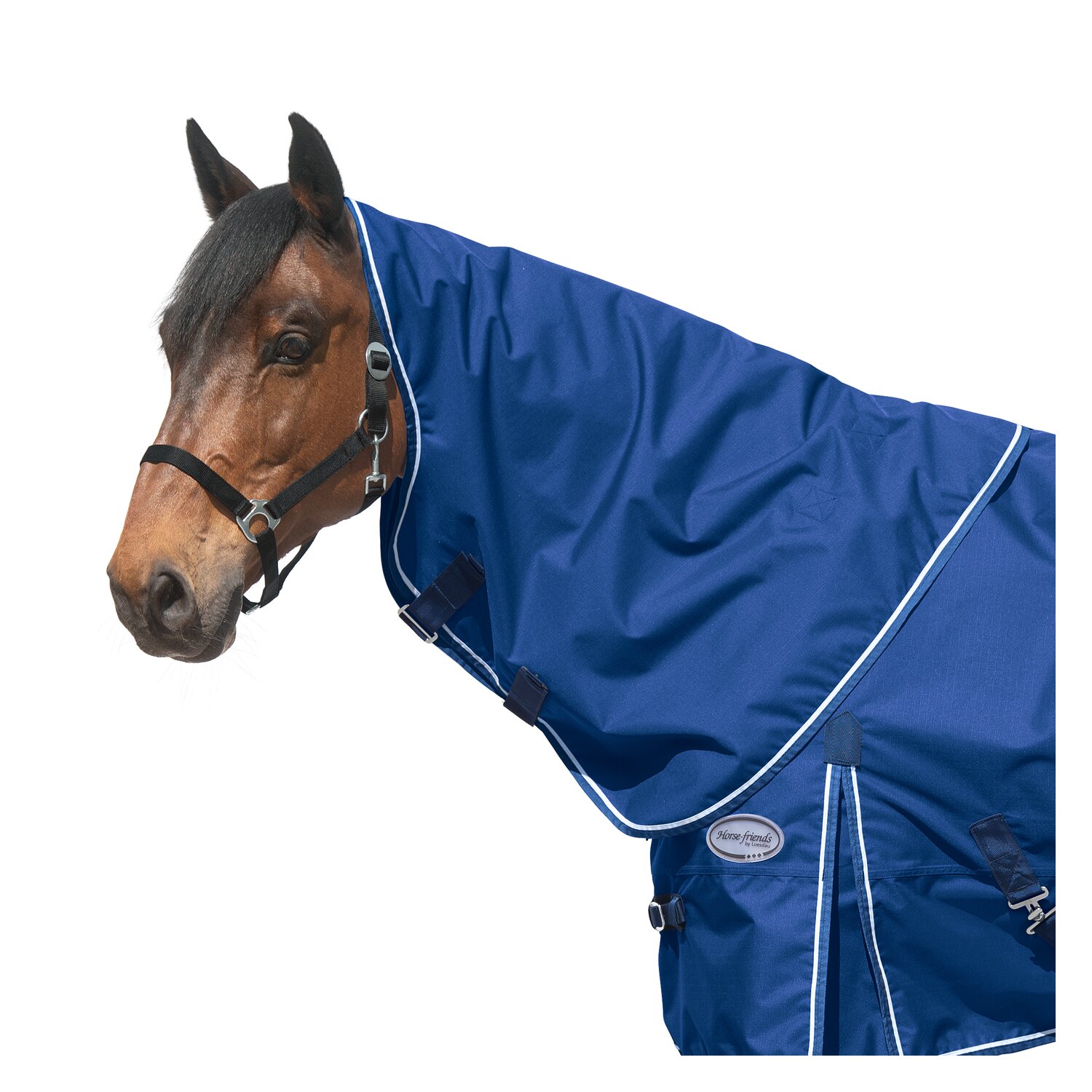 Horse-friends Halsteil Hamburg  - navy