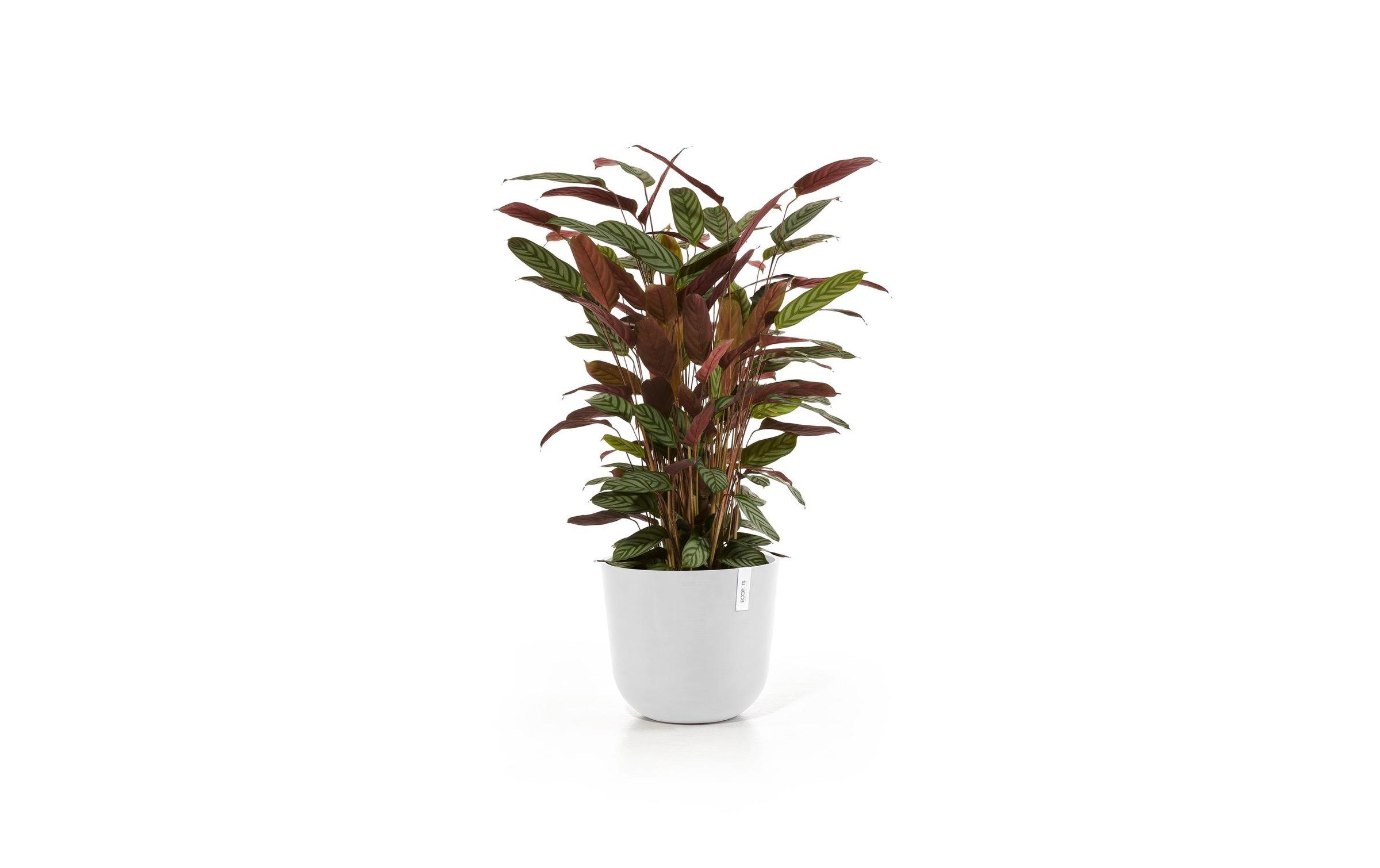 ECOPOTS Pflanzkübel »Oslo 35 Weiss«