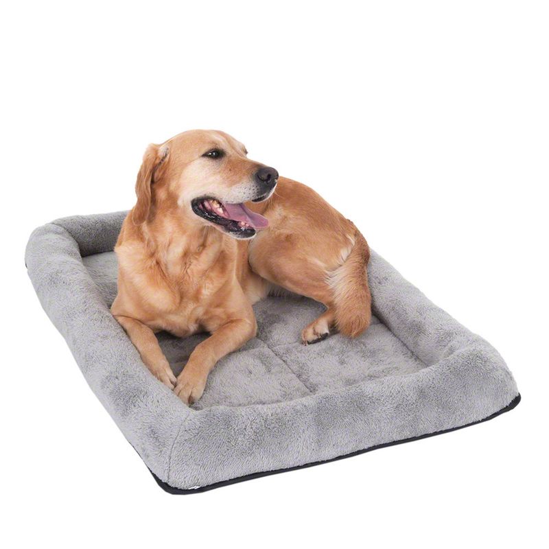Cage de transport Double Door avec coussin