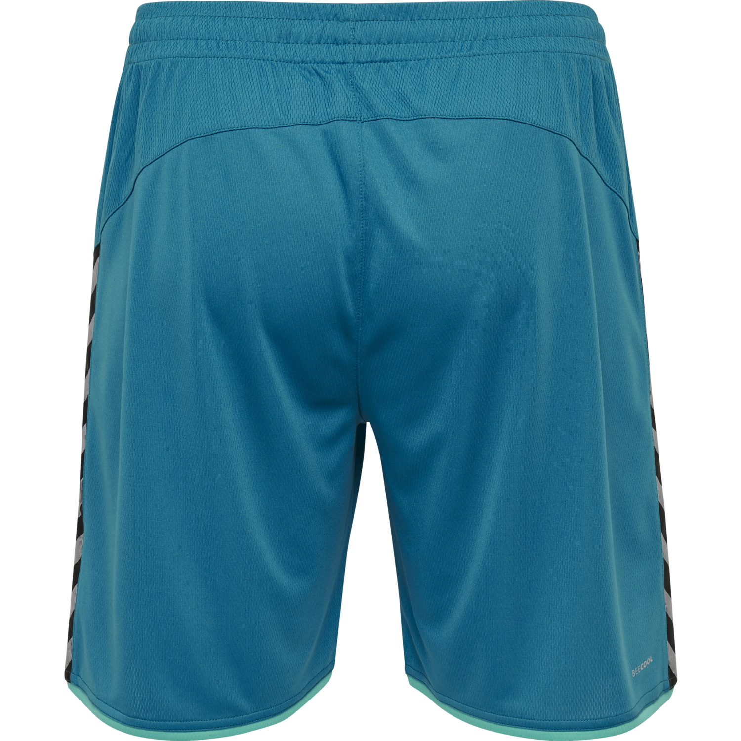 hmlAUTHENTIC POLY SHORTS