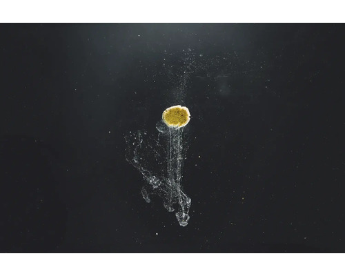 StreamBiz Rode Muggenlarvenpasta Aquariumvisvoer 120 g