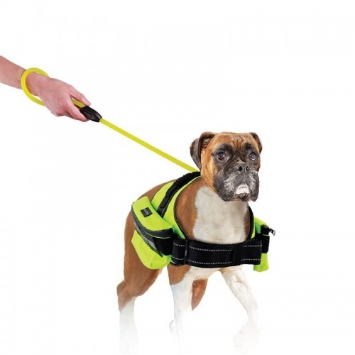 Guia refletora para cães All for Paws