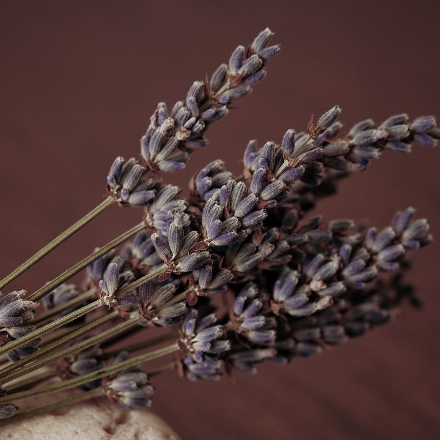 AROMATICA - Rituele Haarolie