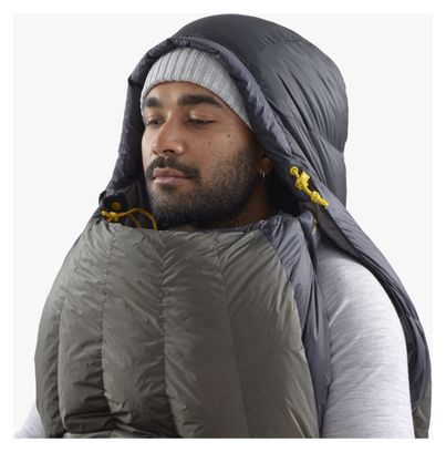 Sac de Couchage Sea To Summit Spark Pro -1C Gris/Bleu