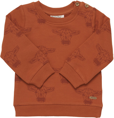 Minymo Genser, Bombay Brown