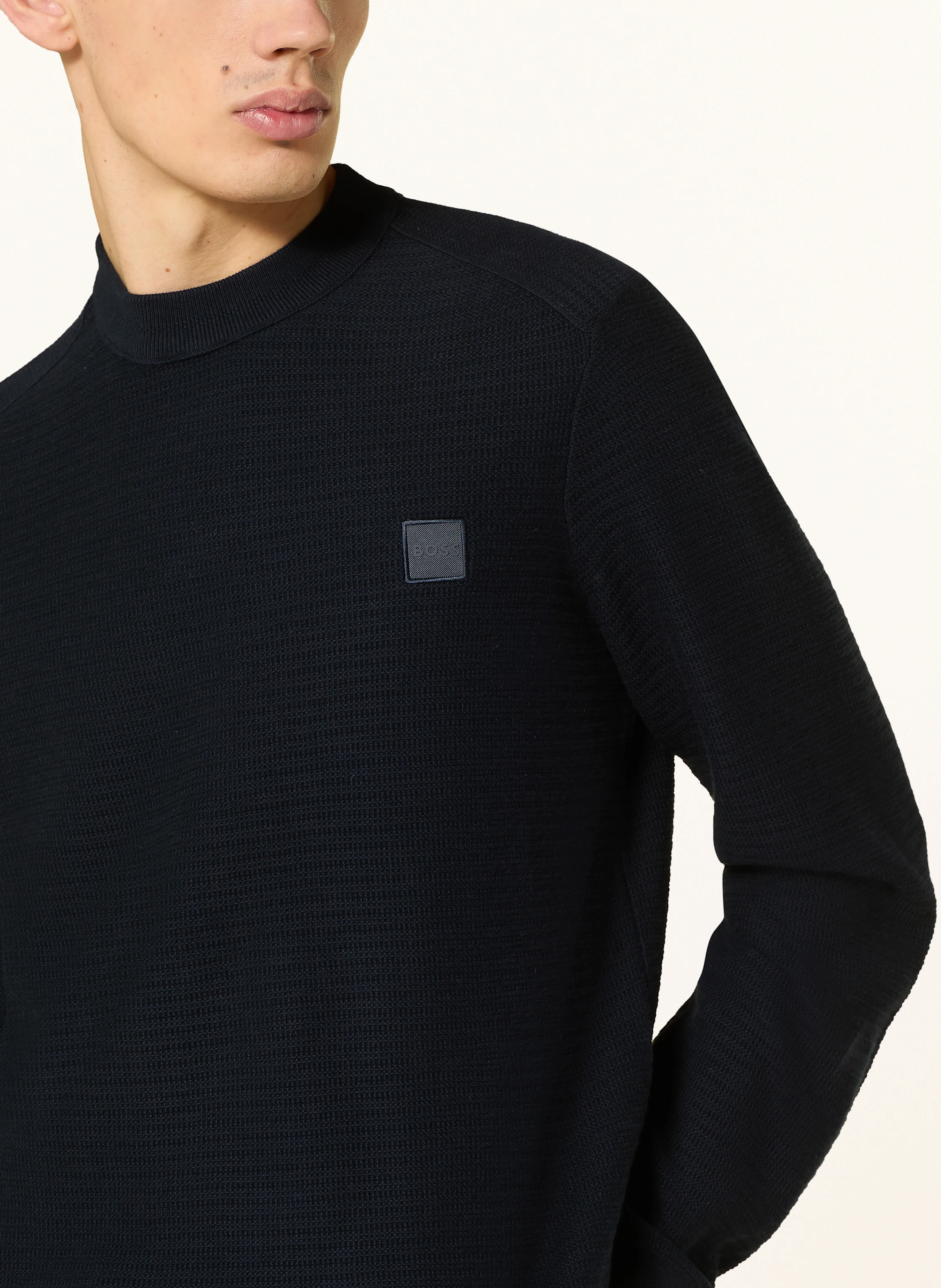 BOSS Pullover ANION