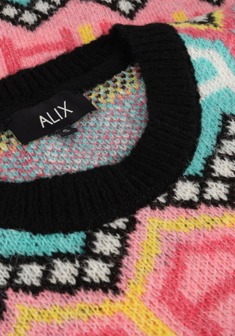 ALIX THE LABEL multi alix the label trui ladies knitted multi colour pullover