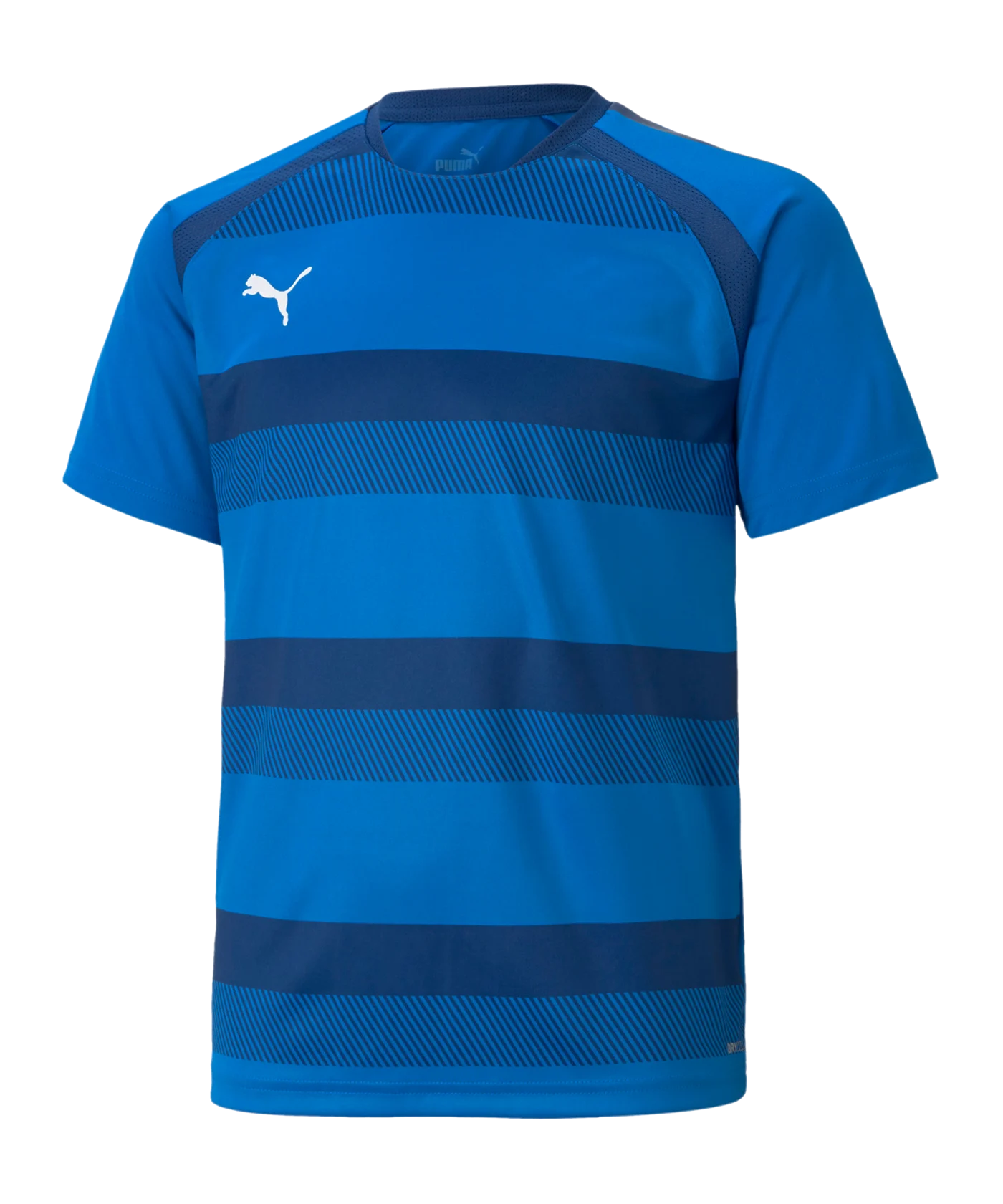 PUMA teamVISION Trikot Kids Blau F02