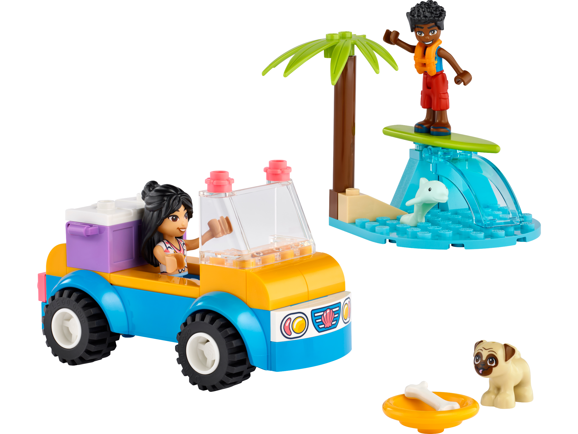 Um dia na praia em um buggy 41725