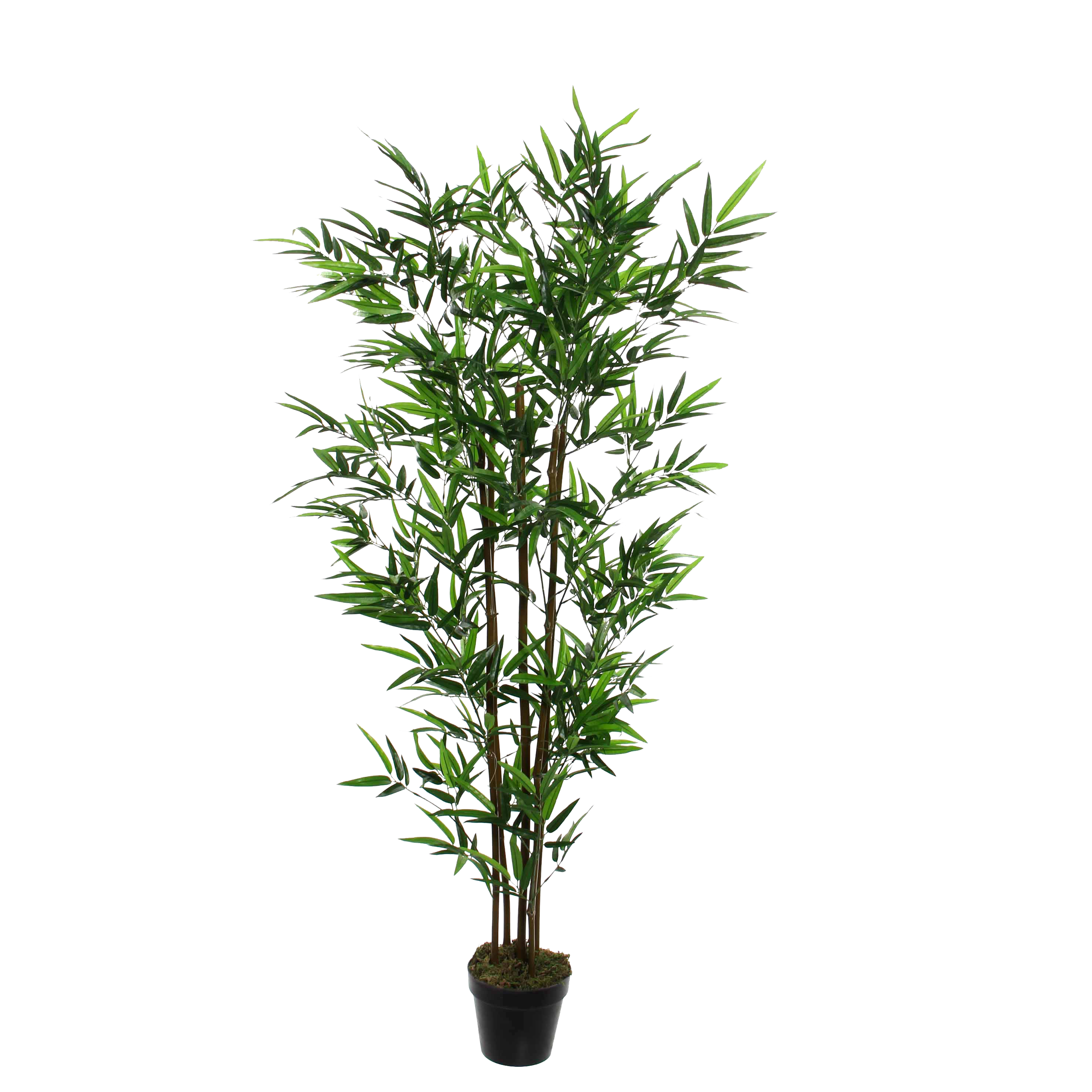 Mica decorations - bambou artificielle en pot h155