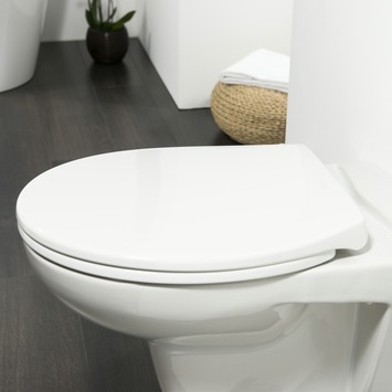 Tiger WC bril Pasadena Wit Kunststof met Softclose