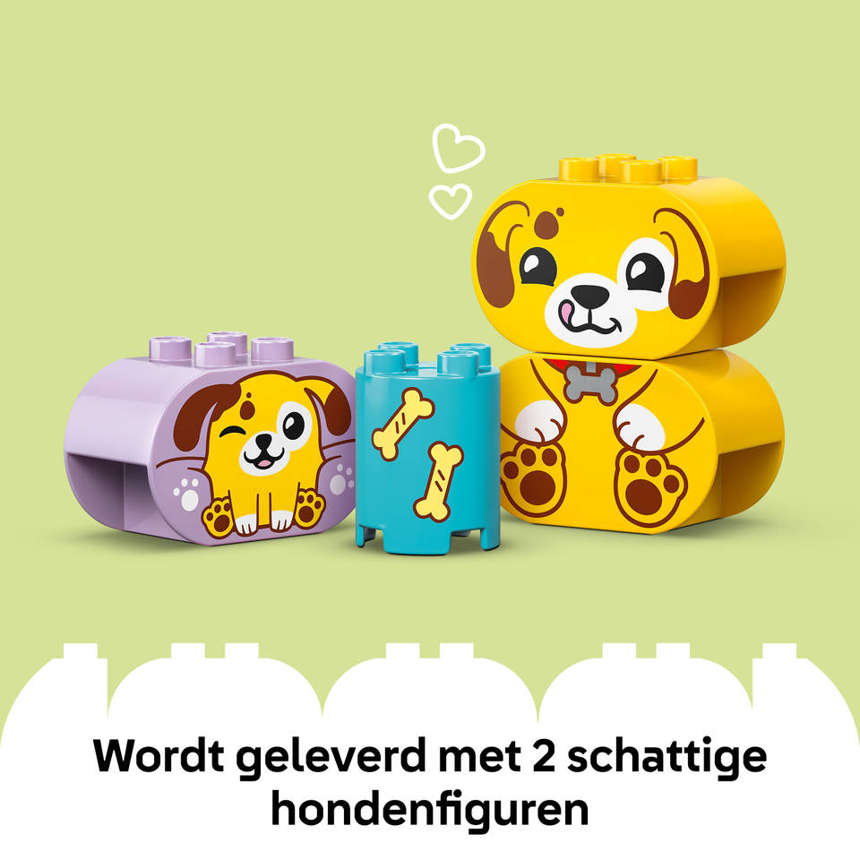 LEGO DUPLO vormenstoof: puppyhuis 10441