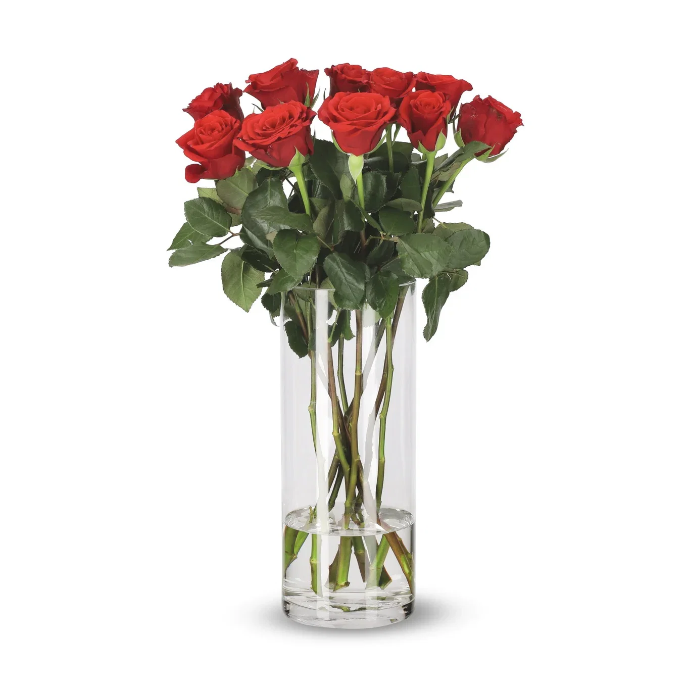 Roser 10pk Høyde 50 cm