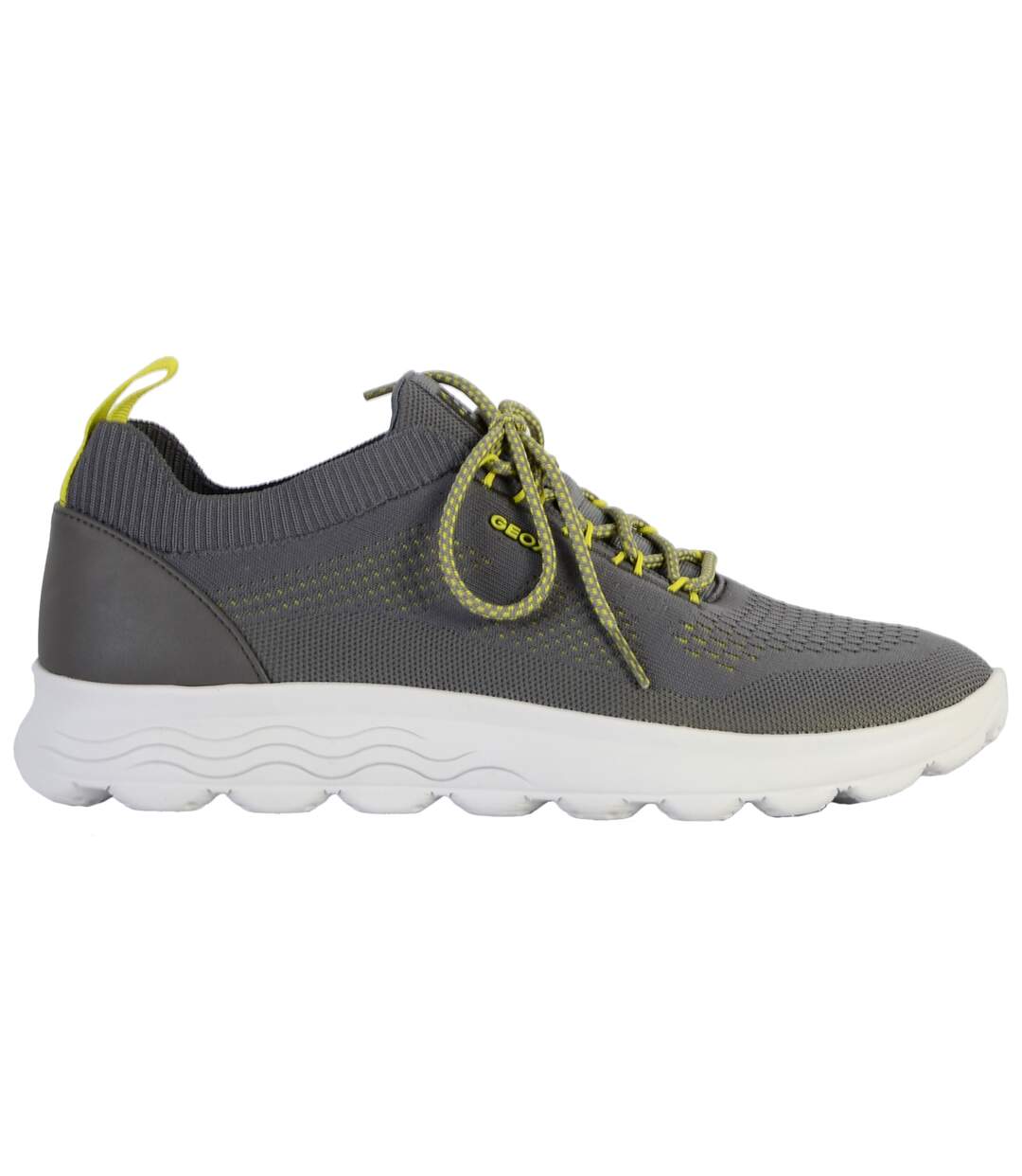 Basket Geox Spherica Homme