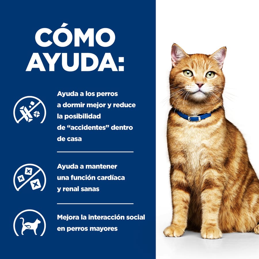 Hill's Prescription Diet Urinary Care c/d Frango lata para gatos
