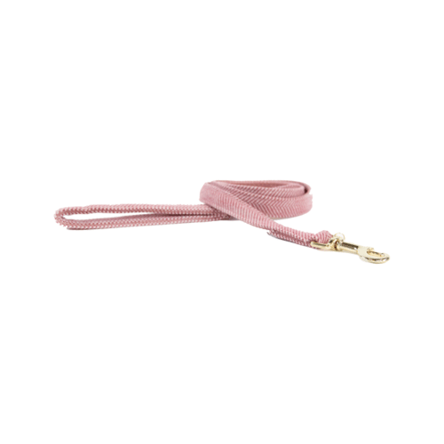 Kentucky Dogwear Hondenlijn Wool
