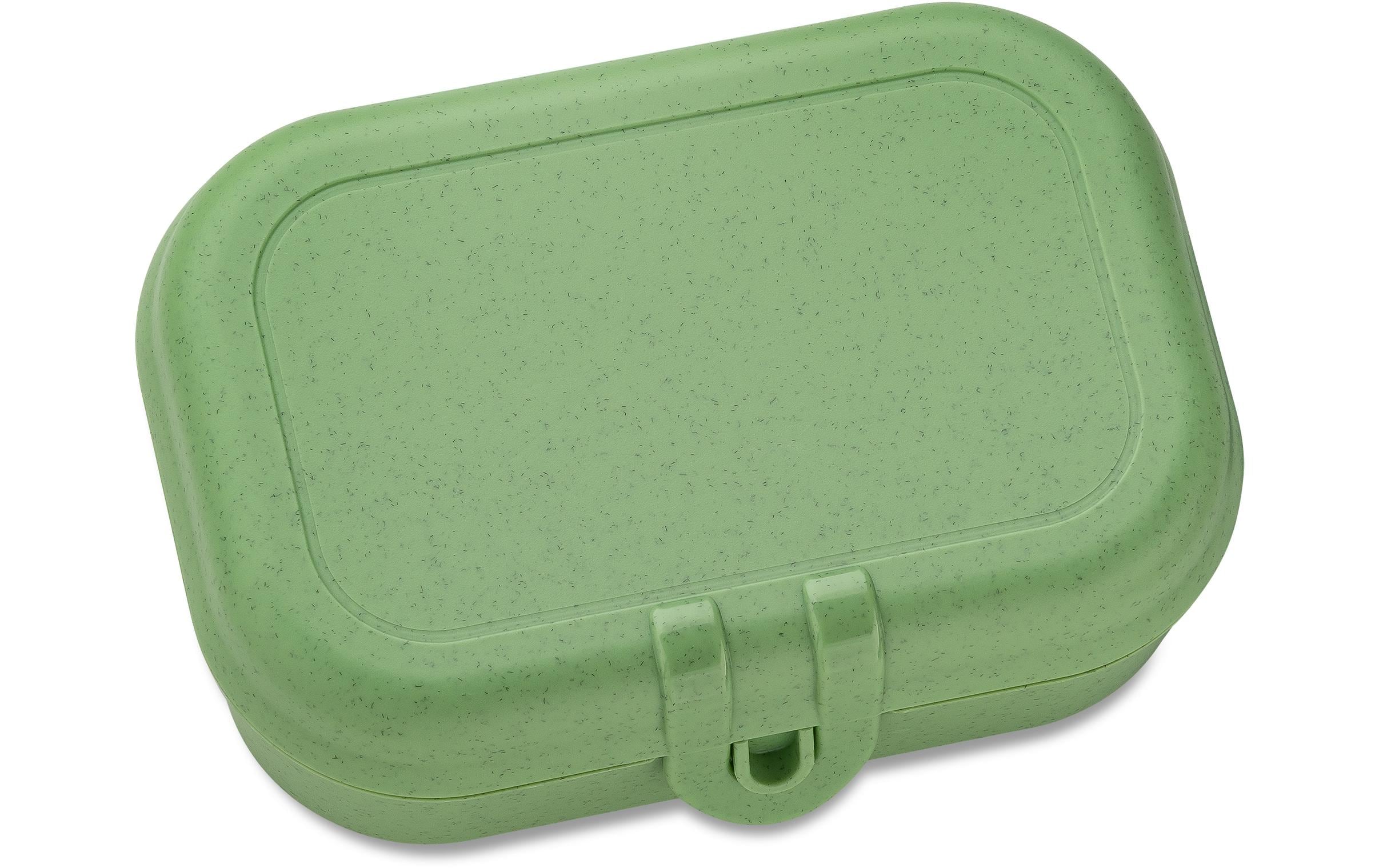 Lunchbox Pascal S GrünFrühstücksdose