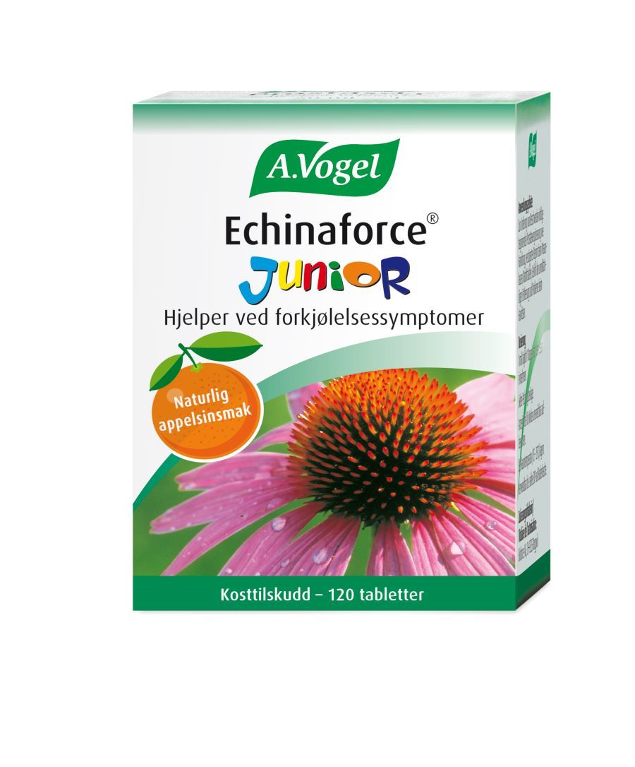 A. Vogel Echinaforce Junior