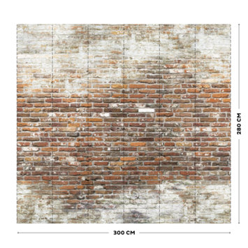 Fotobehang Brick wall 2 (105416)