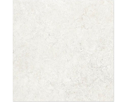 Wand- en vloertegel Jurassic avorio 60x60 cm