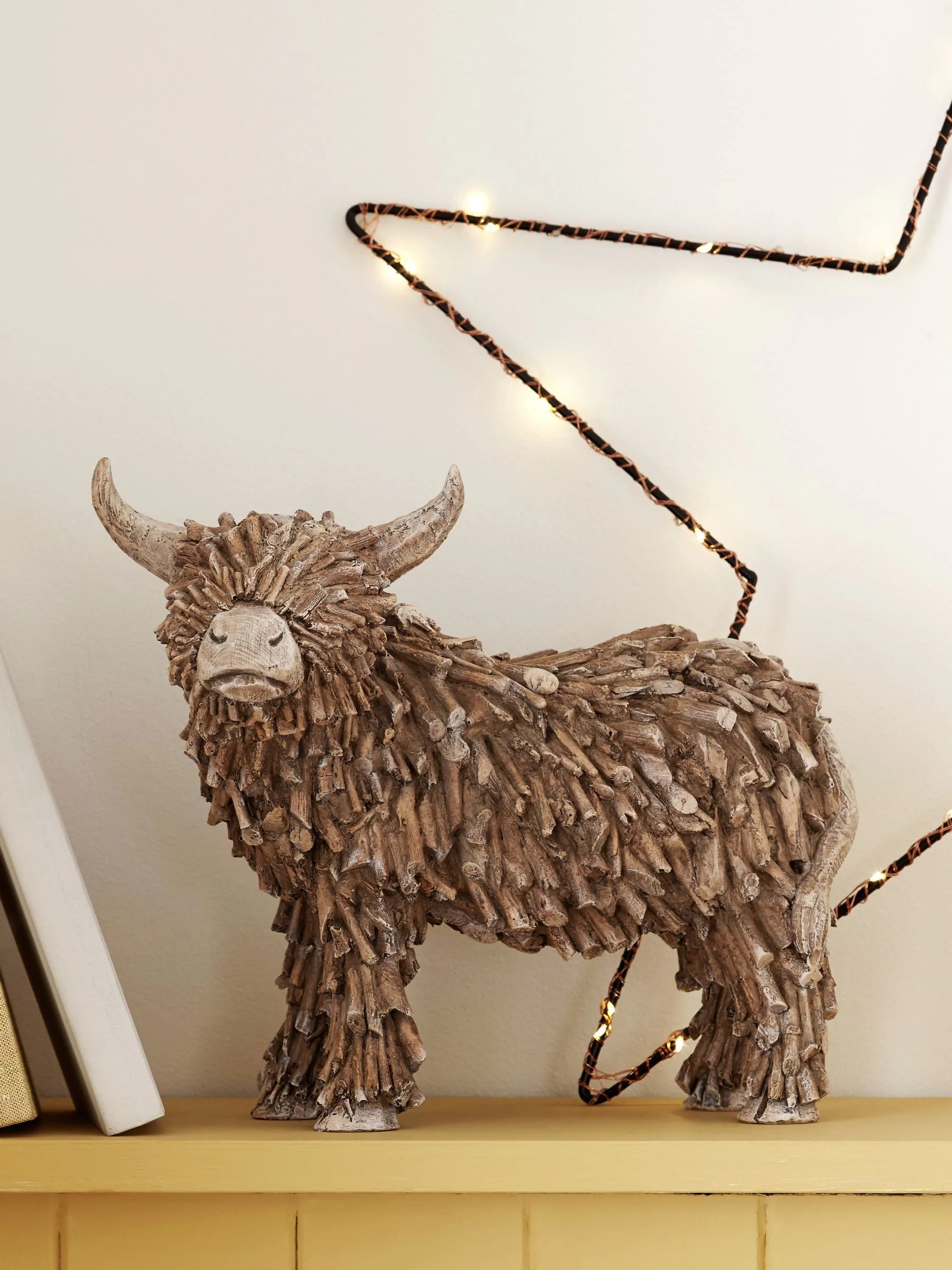 Hamish the Highland Cow