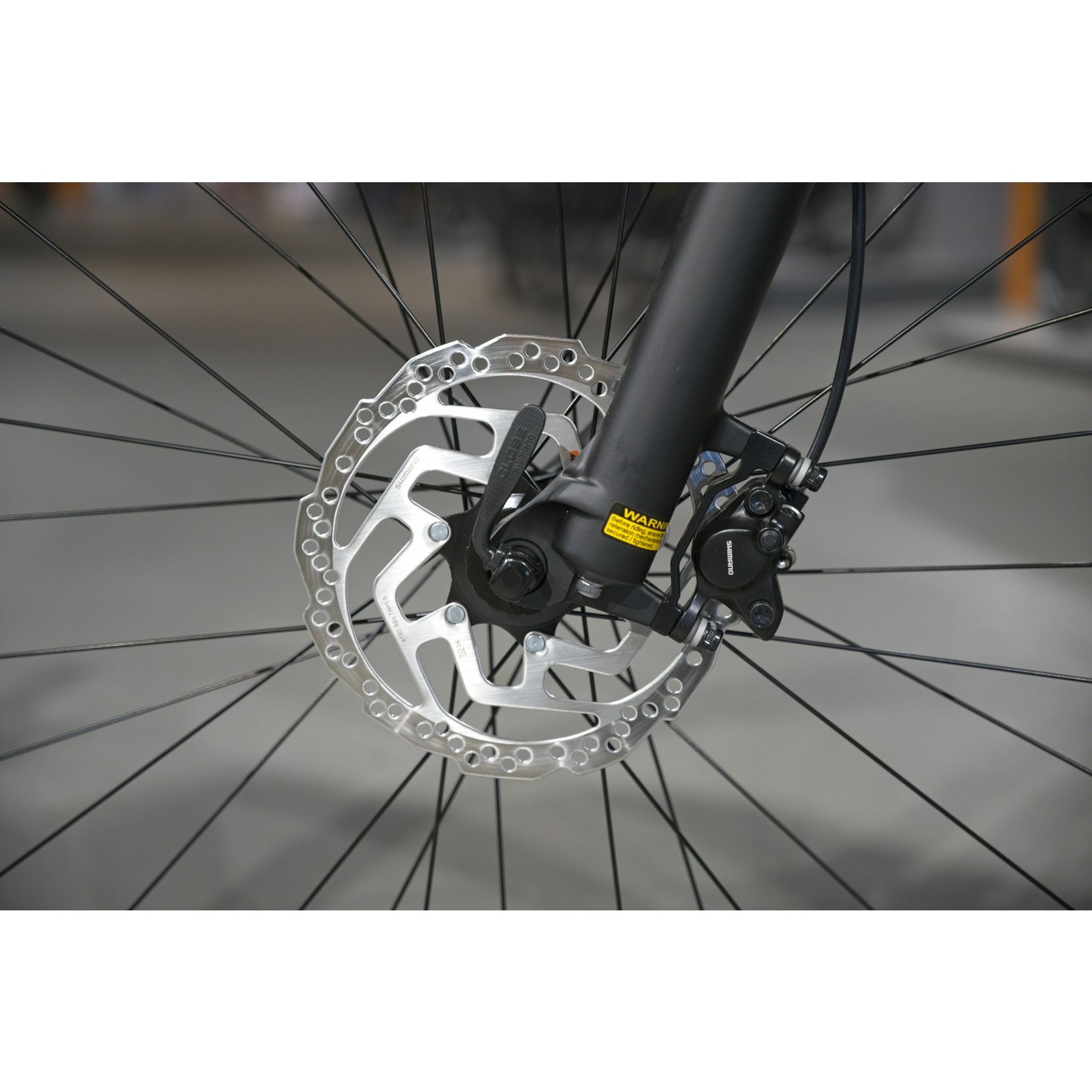 Focus Whistler 3.9 2025