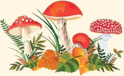 Mushroom Skrivesaker