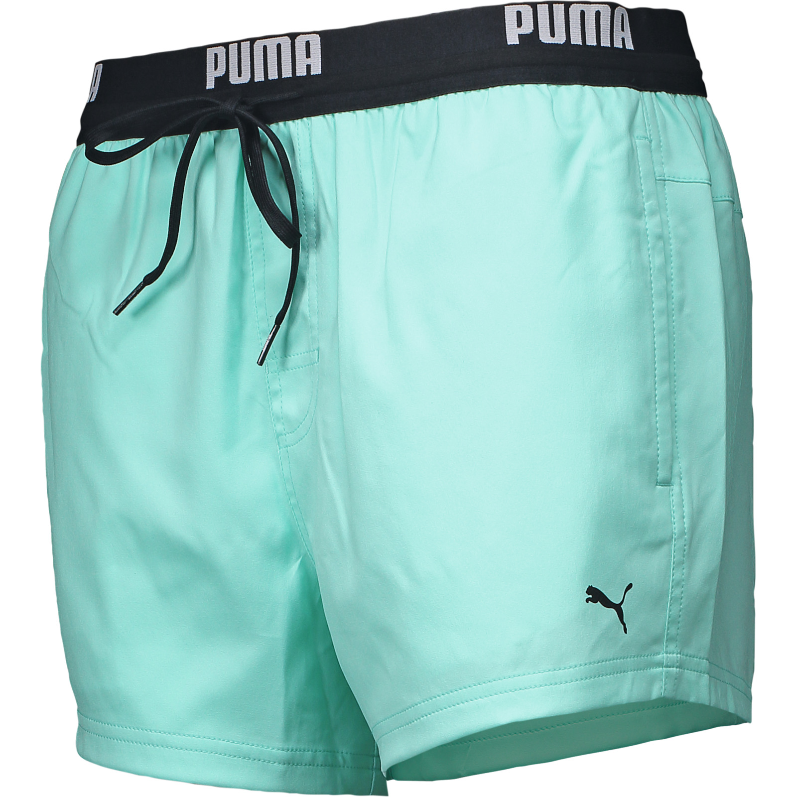 Puma EL-Logo Badeshorts Hr, schwarz, L