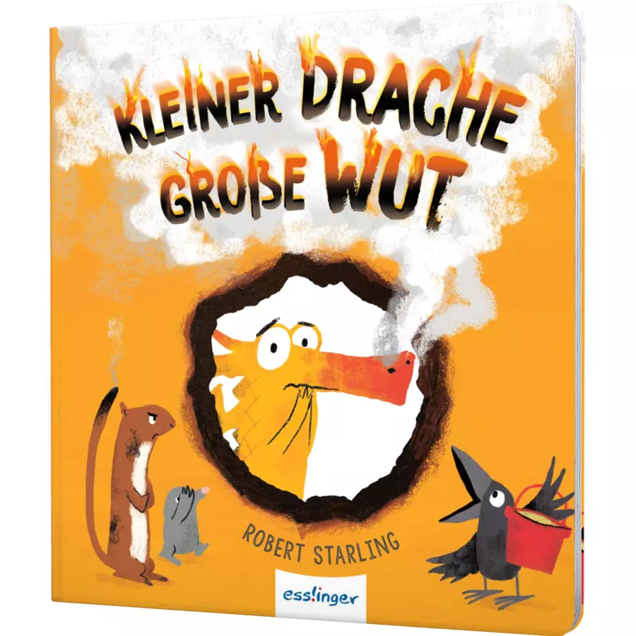 Thienemann Kleiner Drache Finn: Kleiner Drache, große Wut