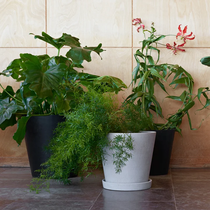 HAY - Blumentopf mit Untersetzer XL, schwarz