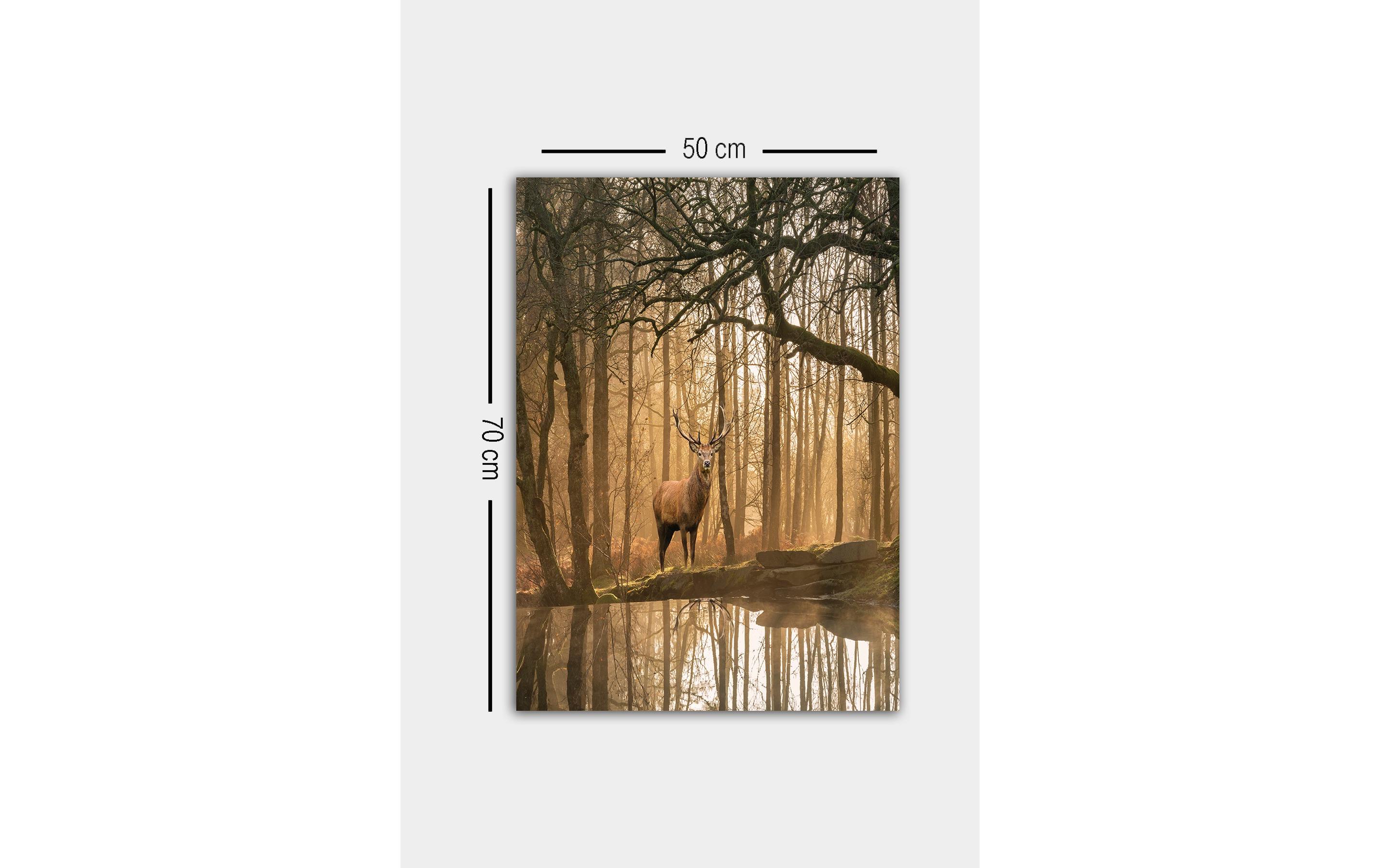 Bild Hirsch 50 x 70 cmDekorative Leinwandmalerei