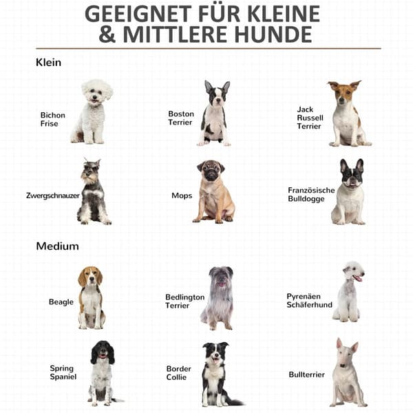 Hundebur Wood Look Bordplatepute Medium Dogs Hvit + Grå 86X60X70Cm