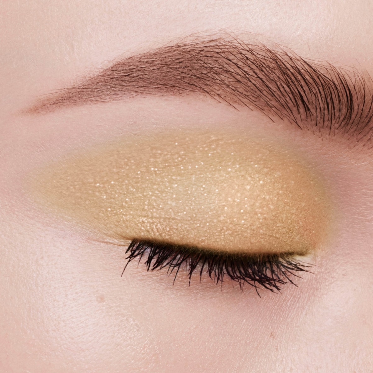 DIOR Mono Couleur Couture Fard à Paupières Haute Couleur
