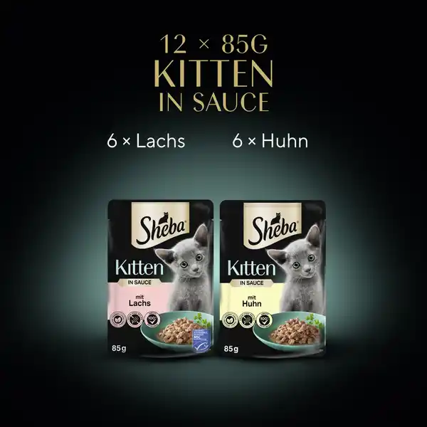 Kitten Feine Vielfalt in Sauce Feine Vielfalt mit Lachs mit Huhn