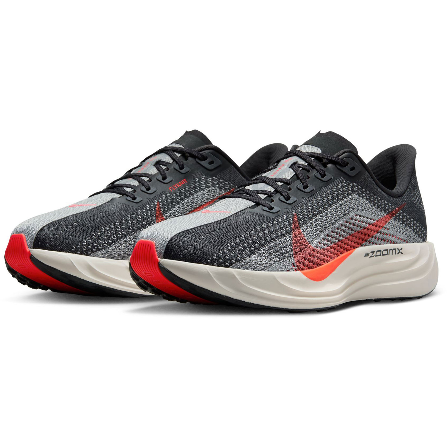 Nike Pegasus Plus Heren