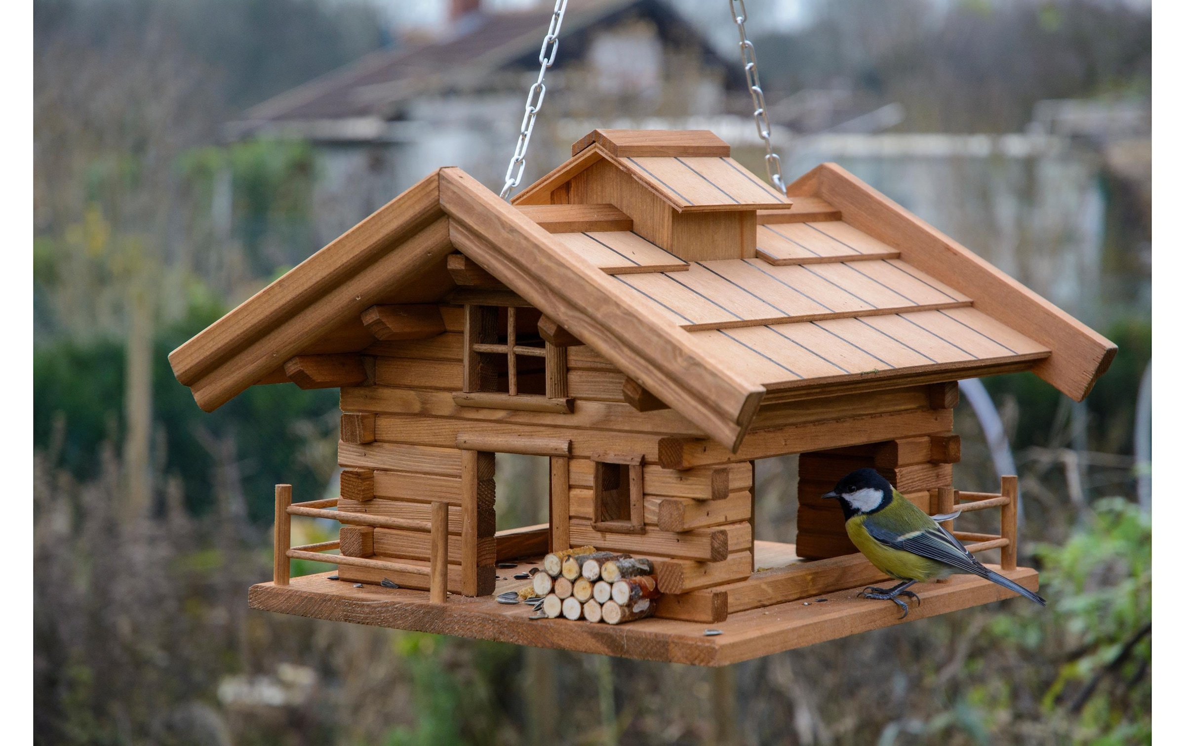 Vogelhaus »Eric Schweizer Blüemlisal« Holzart: Birke, Kiefer (Polen)