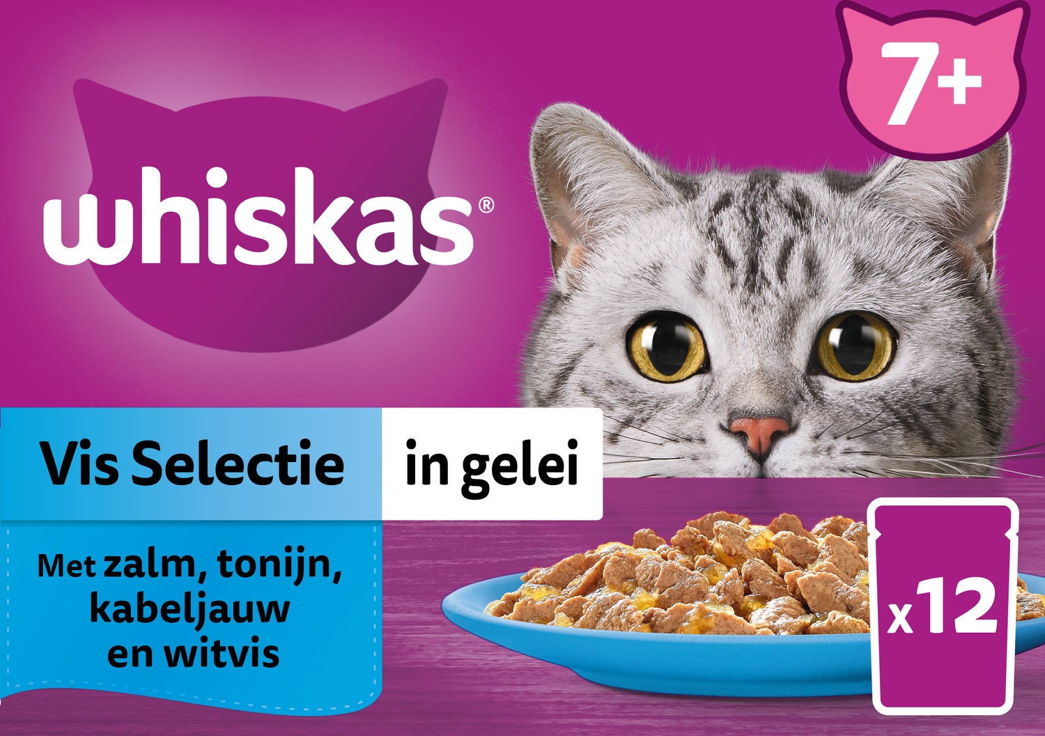 Whiskas kattenvoer in gelei Vis Selectie vis senior 85 g 12 stuks