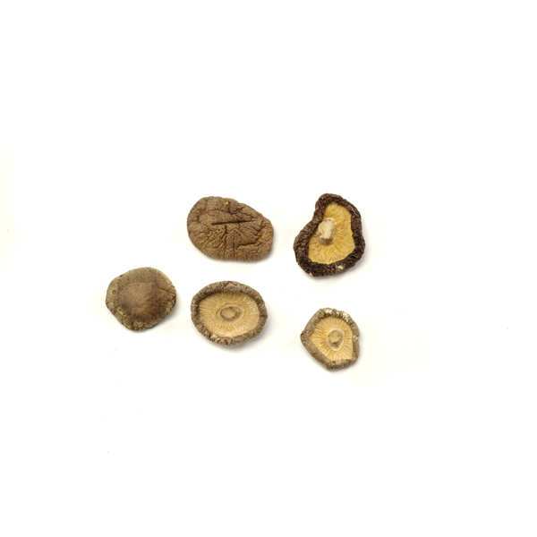 Shiitakes séchés