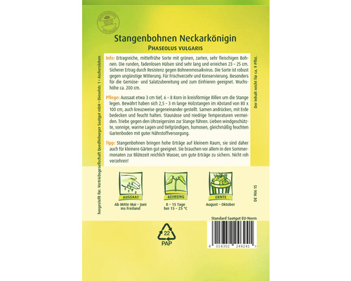 Pole beans Neckarkönigin Quedlinburger Open-pollinated seeds Vegetable seeds