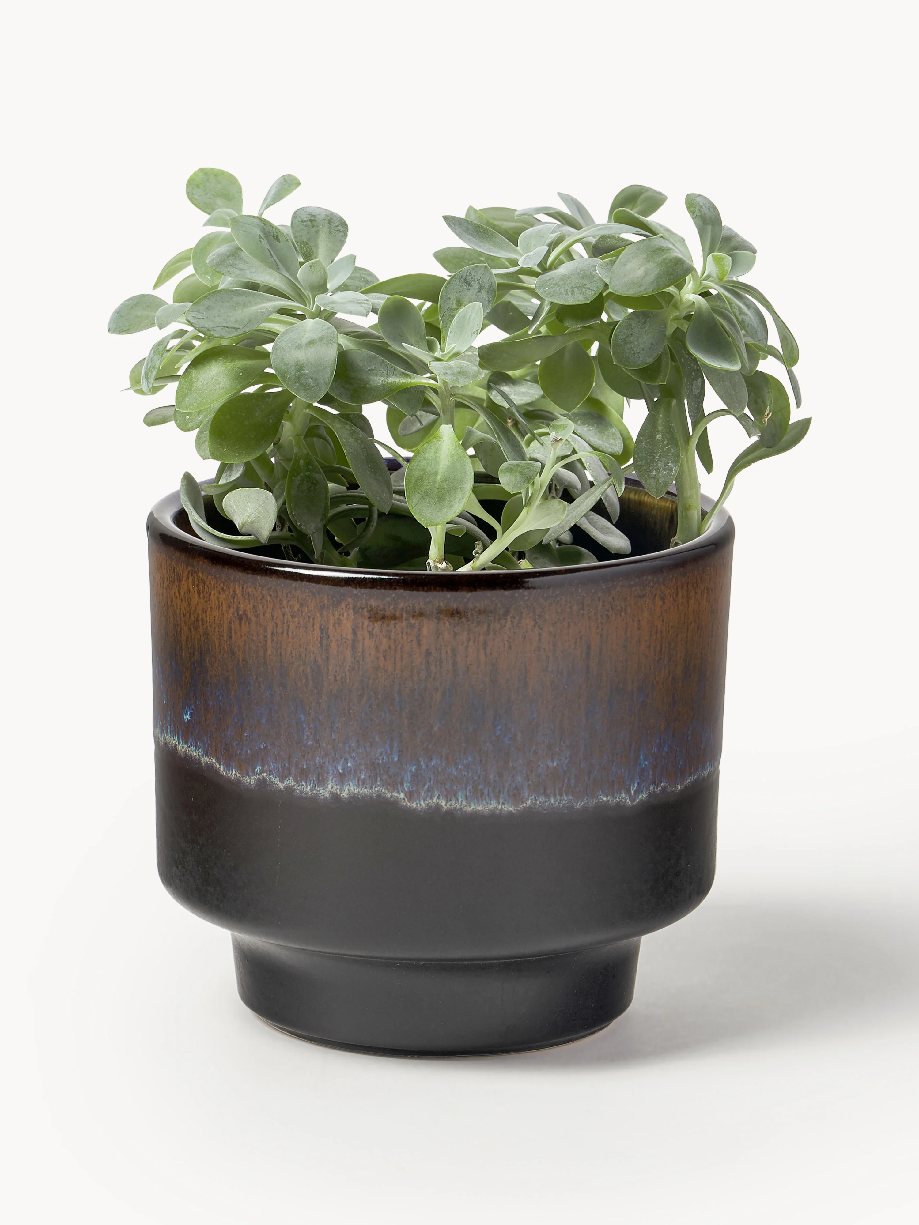 Geglazuurde plantenpot Solis, H 11 cm
