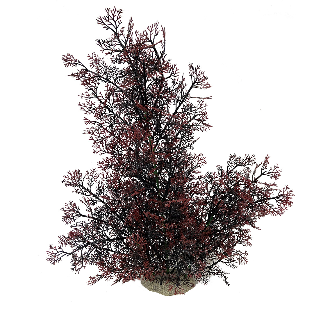 Aqua D'ella Phoenix XL Rood | Planten decoratie