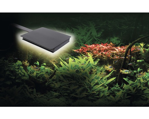 Fluval Nano Plant LED aquariumverlichting, bestuurbaar via app, 15 W