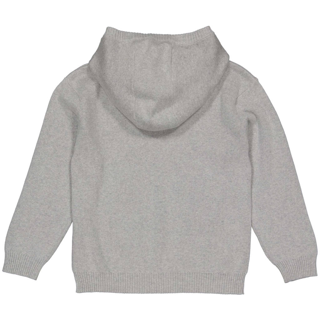 LEVV hoodie grijs