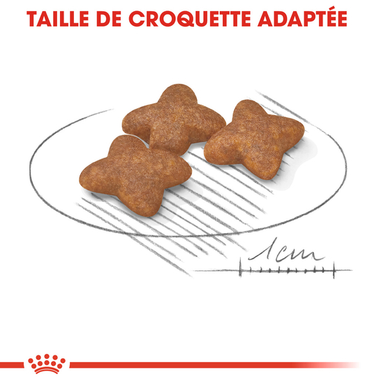 Croquettes chien de petite taille Mini Adult 2kg