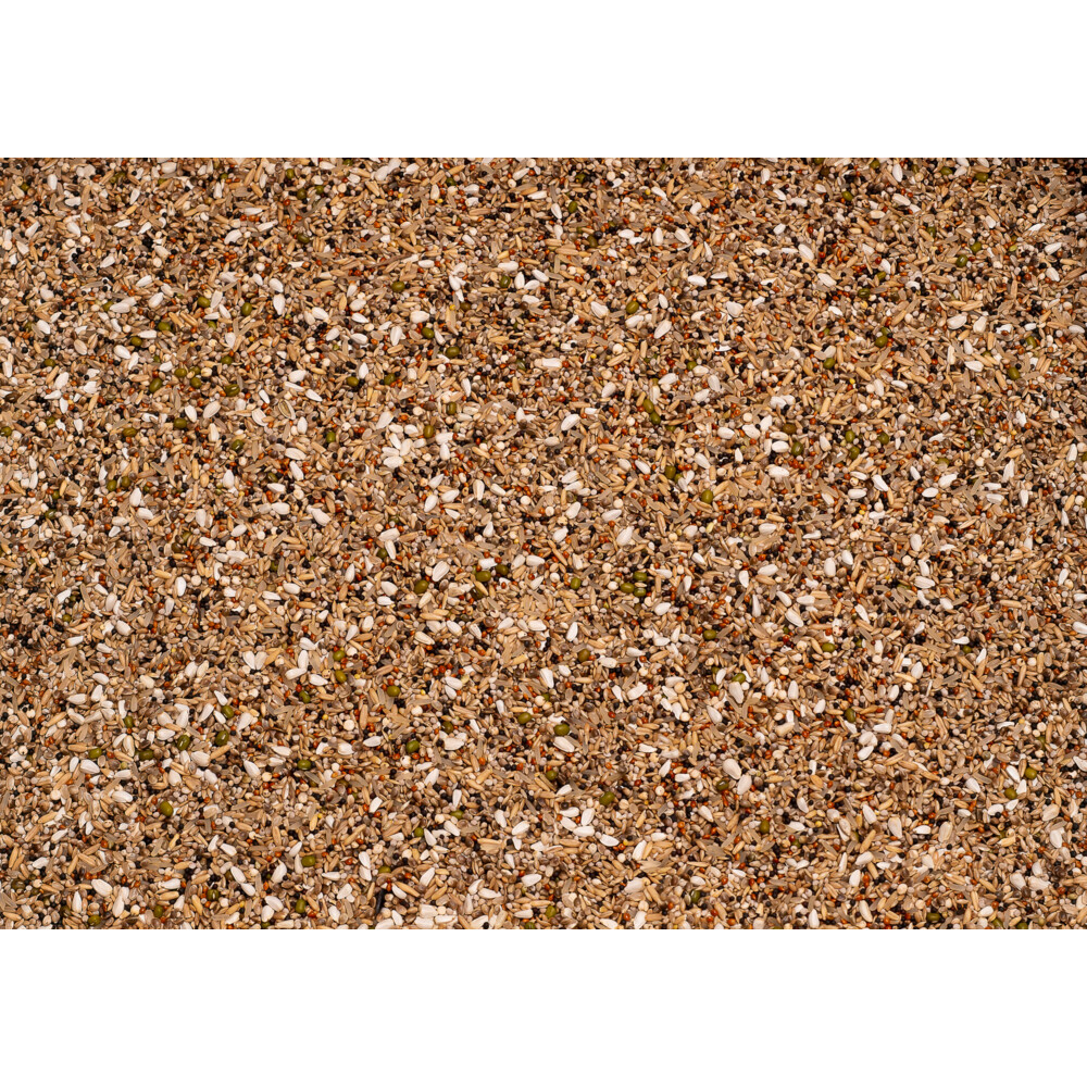 Beyers Premium Snoepzaad Exclusief20 kg